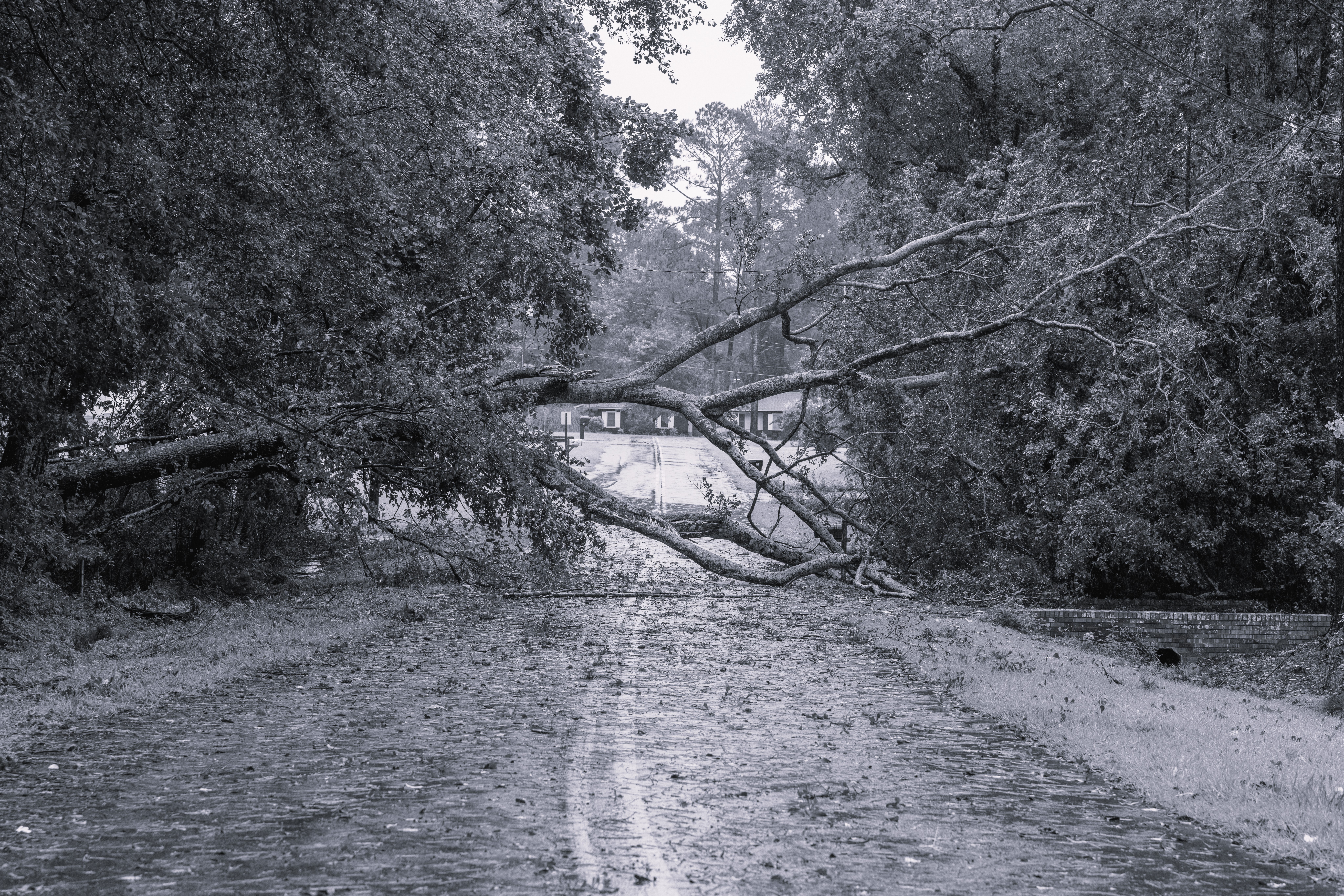 Update – Cyclone Alfred